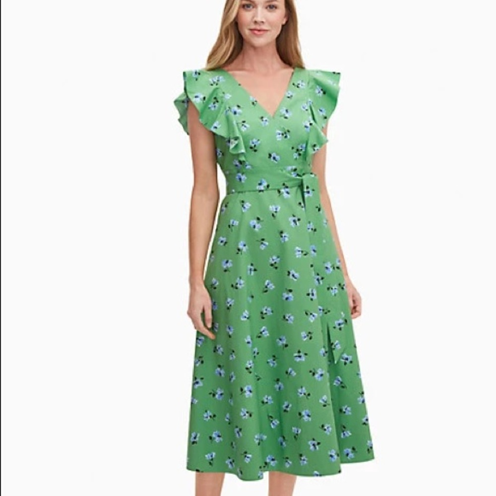 Kate Spade Tea Party Dress